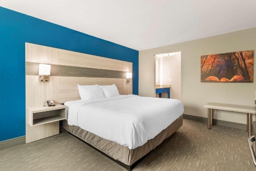Best Western Plus Magnolia Inn & Suites image 37